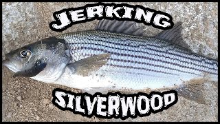 Silverwood Lake Fishing Stripe Bass [upl. by Feingold]