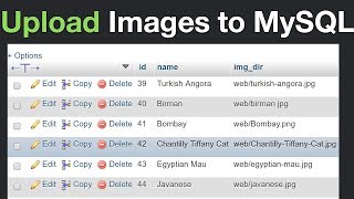 How to Insert Images to MySQL and Display Them Using PHP [upl. by Ellary]