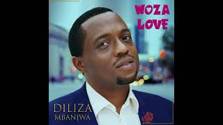 DILIZA MBANJWA  Woza Love official Audio [upl. by Nahrut]