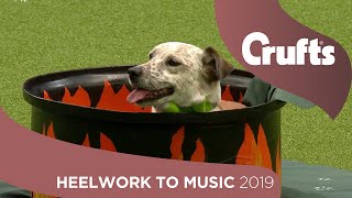 Freestyle Heelwork to Music Competition  Part 2  Crufts 2019 [upl. by Nnil]