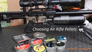 Choosing the Best Air Rifle Pellets for You [upl. by Anissej]