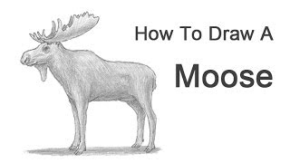 How to Draw a Moose [upl. by Ille]