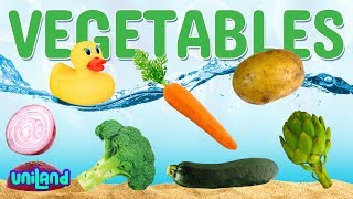 Sink or Float Challenge Vegetables  UniLand Kids [upl. by Saref]