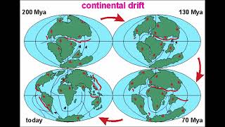 Alfred Wegeners Evidence of Continental Drift Theory [upl. by Hankins]