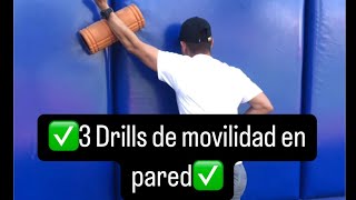 ✅3 Ejercicios de movilidad torácica con Foam Roller✅ [upl. by Neret]