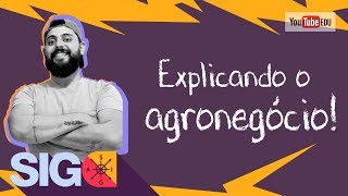 AGRONEGÓCIO  características [upl. by O'Gowan]