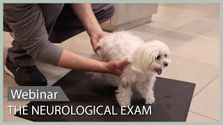 The Neurological Exam Achieving A Localization  SEVN Webinar Lecture 7 [upl. by Yrallih]