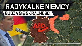 Niemcy chcą ZMIANY GRANIC POLSKI  Radykalizacja NIEMIEC AFD [upl. by Llennoj574]