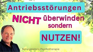 Antriebslosigkeit nicht überwinden sondern nutzen  und Depressionen verhindern [upl. by Connor]