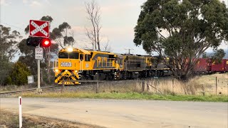 TasRail 2053 TR11 TR01 32 train Rhyndaston Road [upl. by Juli]