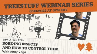 Boreing Insects and How to Control Them with Andy Vega  LIVE [upl. by Eixam638]