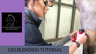 LEG BLENDING  a basic guide [upl. by Eugnimod]