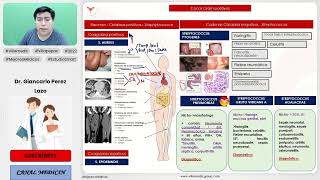 INFECCIONES BACTERIANAS PARTE 5  COCOS GRAM POSITIVOS  INFECTOLOGÍA  VILLAMEDIC [upl. by Acinimod]