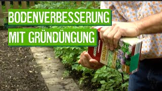 Gründüngung für das Beet im eigenen Garten  Der Grüne Tipp kompakt [upl. by Glendon]