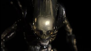 Xenomorph Empress amp Palatines  Explained [upl. by Conroy]