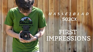 Hasselblad 503CX  Sunrise Shoot and First Impressions [upl. by Nodab]