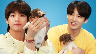 BTS Plays With Puppies While Answering Fan Questions [upl. by Aeriel]