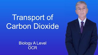 A Level Biology Revision quotTransport of Carbon Dioxide OCRquot [upl. by Aniaj]