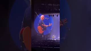 David Gilmour  Wish You Were Here live at Hollywood Bowl October 30 2024 davidgilmour pinkfloyd [upl. by Tomchay]