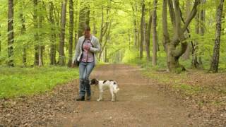 Basisausbildung für den brauchbaren Jagdhund quotDie Leinenführigkeitquot [upl. by Aissela663]