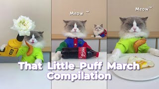 That Little Puff Compilation  March Magic Collection🪄 [upl. by Larsen]