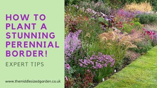 Create an outstanding perennial border  how to choose and combine plants [upl. by Orvan275]