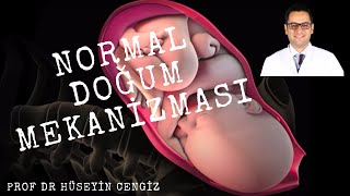 DOĞUM NASIL İLERLER 👶🏻 NORMAL VAJİNAL DOĞUM 🤱 kemik yapı çatı darlığı🤰 [upl. by Oisacin742]