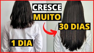 4 MELHORES Receitas Caseiras para CRESCER seu CABELO Atualizado 2021 [upl. by Aitret]