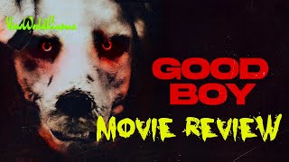 GOOD BOY 2022  Mans very strange best friend  Movie Review [upl. by Asyral]