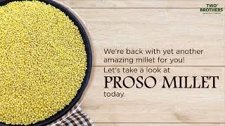 Proso Millet  Everything You Need to Know [upl. by Husha]