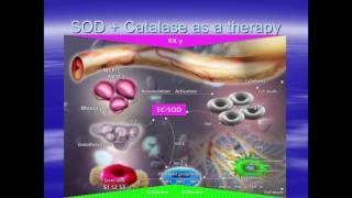 Sodermix Cream in radioinduced fibrosis [upl. by Hufnagel221]