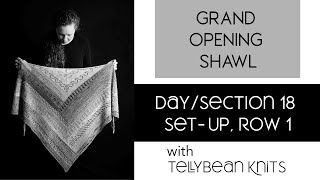 Grand Opening Shawl DAYSECTION 18 Set Up Row 1 [upl. by Inaboy]