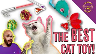 What is the best cat toy in the world Trust me I know [upl. by Asusej]