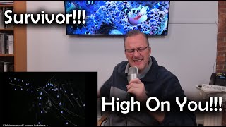 SURVIVOR  HIGH ON YOU  REACTION [upl. by Ignatius]