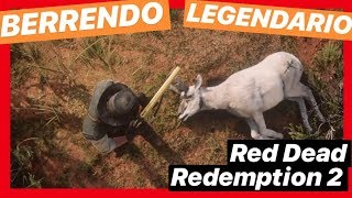 🦌 BERRENDO LEGENDARIO  Red Dead Redemption 2 [upl. by Ailegave41]