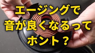 エージングは意味あるのか～スピーカーのエージングで音が変わる理由 [upl. by Sapers]