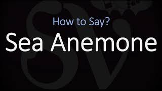 How to Pronounce Sea Anemone CORRECTLY [upl. by Enyar]