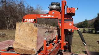 WoodMizer LT 40 Sawmill and a Massive Eastern Red Cedar [upl. by Aisat]