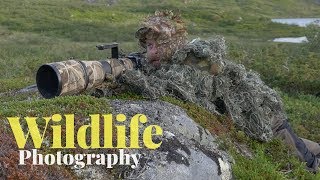 1 DAY SOLO CAMPING AND WILDLIFE PHOTOGRAPHY ON AN ISLAND  campfire camouflage fishing [upl. by Fritze]