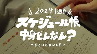 【2024】スケジュール帳の中身はこんな感じ！ [upl. by Jaan950]