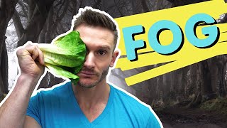 How I Get Rid of Brain Fog [upl. by Nekciv]