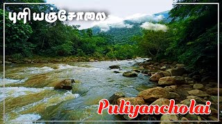 Puliyancholai Falls  புளியஞ்சோலை  Foot Hills of Kollimalai  கொல்லிமலை அடிவாரம்  Eastern Ghats [upl. by Nonnel]