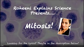 Roheeni Explains Mitosis [upl. by Tuckie]