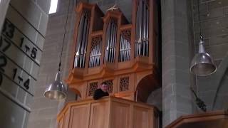 Burgdorfer Stadtkirche Führung Chororgel [upl. by Ecyla]