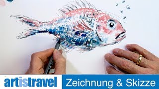 Einen Fisch zeichnen und aquarellieren  Ganz einfach zeichnen lernen 22 [upl. by Basir144]