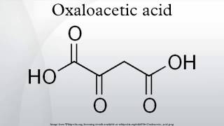 Oxaloacetic acid [upl. by Yamauchi681]