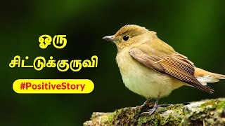 Self Motivational Story  Oru Chittu Kuruvi  Positive Stories by GhibranVaibodha  Tamil Sirukathaigal [upl. by Shelley]