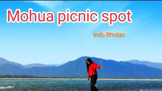 Mohua picnic spot near Bhutan  Indo Bhutan  Alipurduar picnic spot  Torsha river side [upl. by Fortunna]