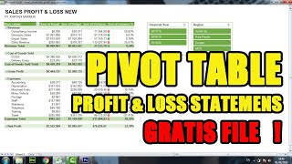 Laporan Keuangan Laba Rugi di Excel  Profit amp Loss Statement [upl. by Viole]