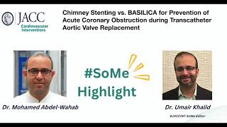 Chimney Stenting vs BASILICA for Prevention of Acute Coronary Obstruction During TAVR [upl. by Lorelle]